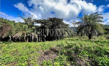 Oportunidad! Se Vende Hermoso Terreno en Altos del Maria