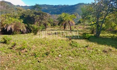 Oportunidad! Se Vende Hermoso Terreno en Altos del Maria