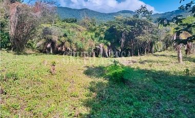 Oportunidad! Se Vende Hermoso Terreno en Altos del Maria