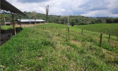 FINCA 41 CUADRAS A 15 MINUTOS DE FILANDIA