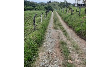 FINCA 41 CUADRAS A 15 MINUTOS DE FILANDIA