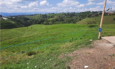FINCA 41 CUADRAS A 15 MINUTOS DE FILANDIA