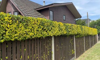 Casa en Arriendo en pedro de valdivia 300