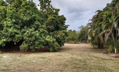 Casa en Venta Ubicado en GUAMO Codigo 984