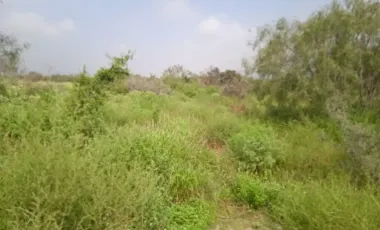Terreno en venta en García Centro, García, Nuevo León