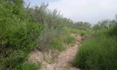 Terreno en venta en García Centro, García, Nuevo León