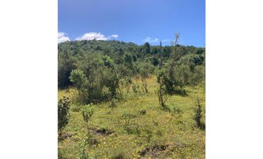 Oportunidad! 6 Hectáreas de Terreno en Quellón, Chadmo