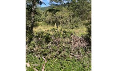 Oportunidad! 6 Hectáreas de Terreno en Quellón, Chadmo