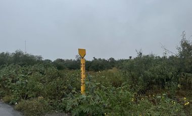 TERRENO EN RENTA EN SALINAS VICTORIA