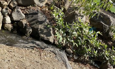 Terreno en venta, San Juan La Sabana, Atlixco