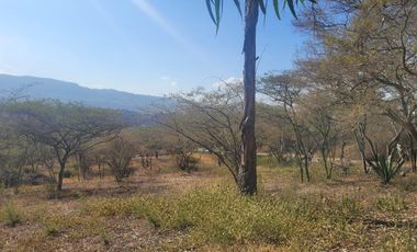 Terreno en venta La Viña