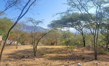 Terreno en venta La Viña