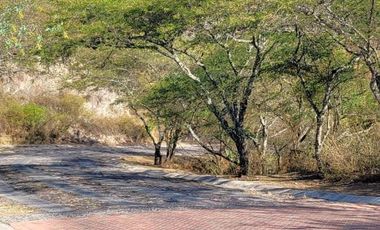 Terreno en venta La Viña