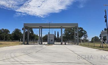 Nave Industrial en Aqluiler 1400 m2 PITEC 2 Fcio Varela