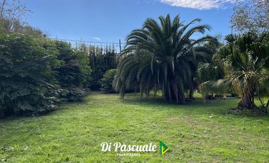 Quinta en Moreno sobre 8 lotes - 2.736 METROS CUADRADOS