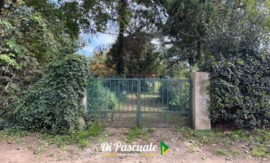 Quinta en Moreno sobre 8 lotes - 2.736 METROS CUADRADOS