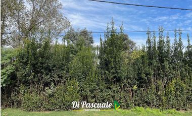 Quinta en Moreno sobre 8 lotes - 2.736 METROS CUADRADOS