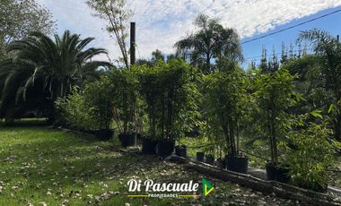 Quinta en Moreno sobre 8 lotes - 2.736 METROS CUADRADOS