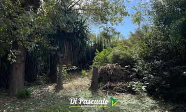 Quinta en Moreno sobre 8 lotes - 2.736 METROS CUADRADOS