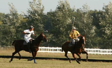 Chacra en El Aduar