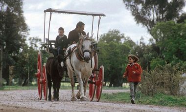 Chacra en El Aduar