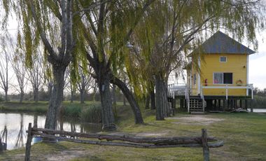 Chacra en El Aduar