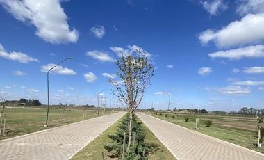 VENTA - Terreno 300 m2 - Sobre avenida - EcoTierra, Pueblo Esther.