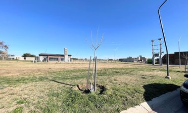 VENTA - Terreno 300 m2 - Sobre avenida - EcoTierra, Pueblo Esther.
