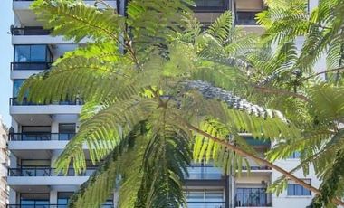 Departamento en  alquiler Amoblado