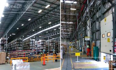 ALQUILER - Predio Logistico e Industrial en Garín - Escobar - GBA Zona Norte - 41.500m2 15.500m2 cubiertos