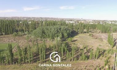 CHACRA EN VENTA 5,7 HECTAREAS NEUQUEN CAPITAL