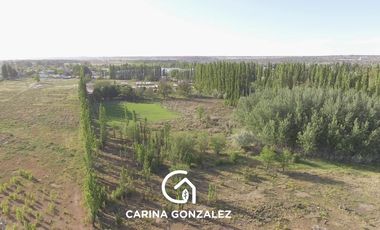 CHACRA EN VENTA 5,7 HECTAREAS NEUQUEN CAPITAL