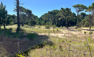 lote en venta en Barrio Bosques Pinamar Norte