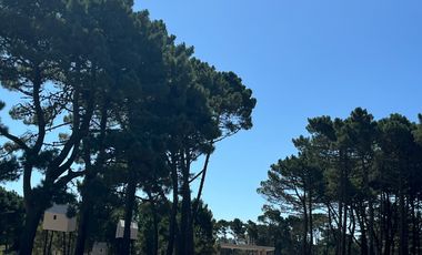 lote en venta en Barrio Bosques Pinamar Norte