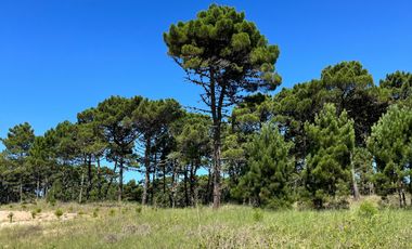 lote en venta en Barrio Bosques Pinamar Norte