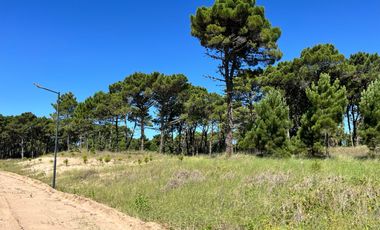 lote en venta en Barrio Bosques Pinamar Norte