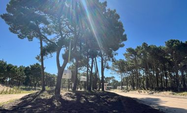 lote en venta en Barrio Bosques Pinamar Norte