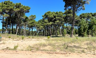 lote en venta en Barrio Bosques Pinamar Norte