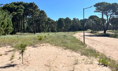 lote en venta en Barrio Bosques Pinamar Norte