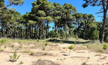 lote en venta en Barrio Bosques Pinamar Norte