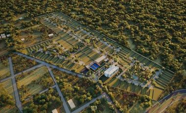 TERRENO RESIDENCIAL  PRIVADA CON AMENIDADES EN DZITYA, MERIDA, YUCATAN.