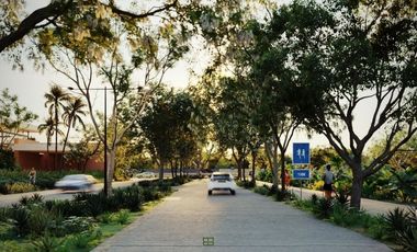 TERRENO RESIDENCIAL  PRIVADA CON AMENIDADES EN DZITYA, MERIDA, YUCATAN.