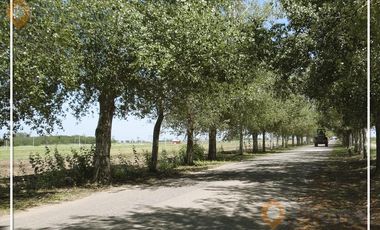 Terreno en Oliveros