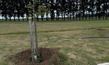 Terreno en venta en Ecolagos, Lote 129, General lagos