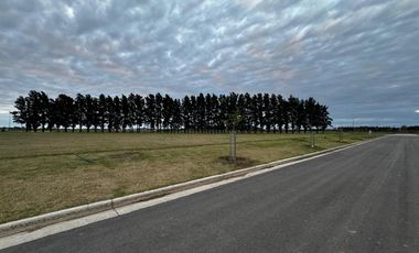 Terreno en venta en Ecolagos, Lote 129, General lagos
