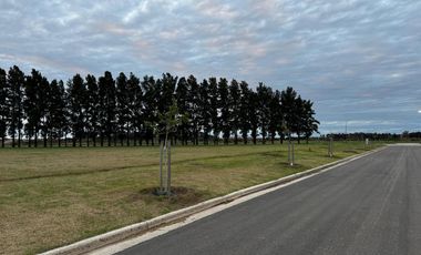 Terreno en venta en Ecolagos, Lote 129, General lagos