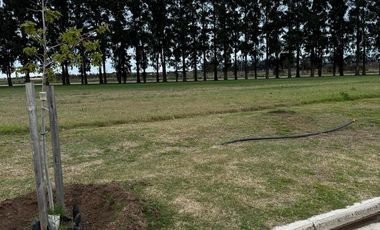 Terreno en venta en Ecolagos, Lote 129, General lagos