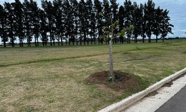Terreno en venta en Ecolagos, Lote 129, General lagos