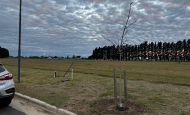 Terreno en venta en Ecolagos, Lote 129, General lagos
