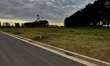 Terreno en venta en Ecolagos, Lote 129, General lagos